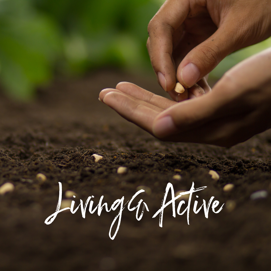 Living & Active 2024